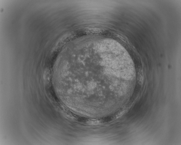 X0000061740701200512231500