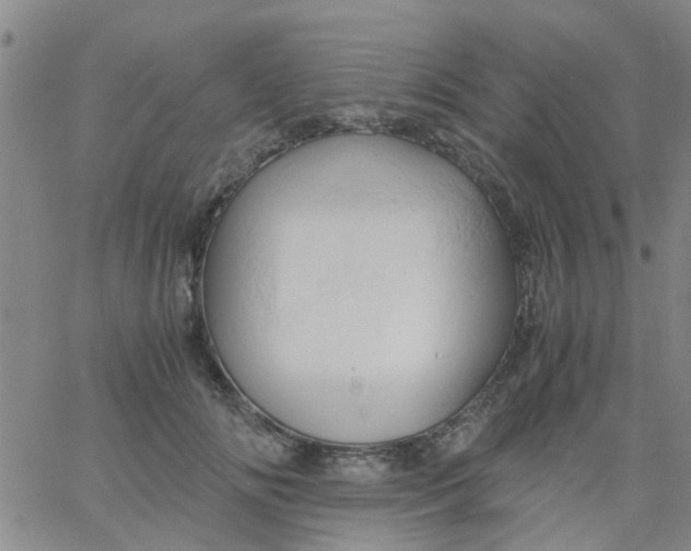 X0000061740702200512231500