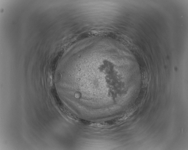 X0000061740703200512231500