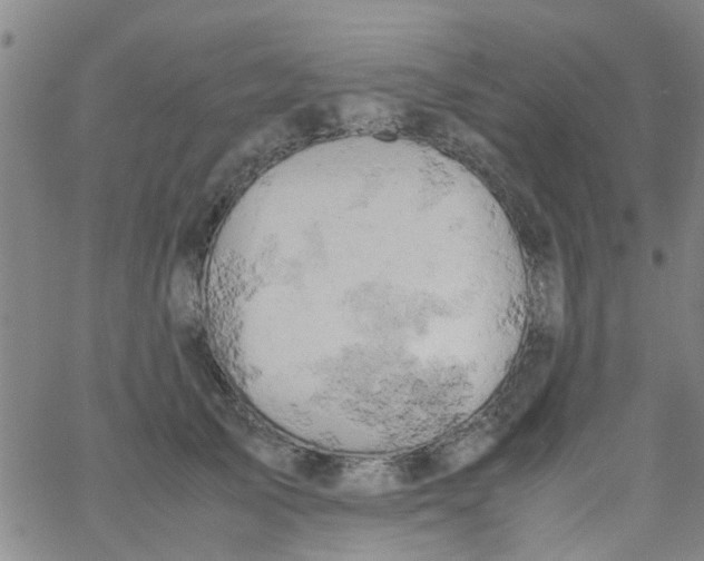 X0000061740705200512231500