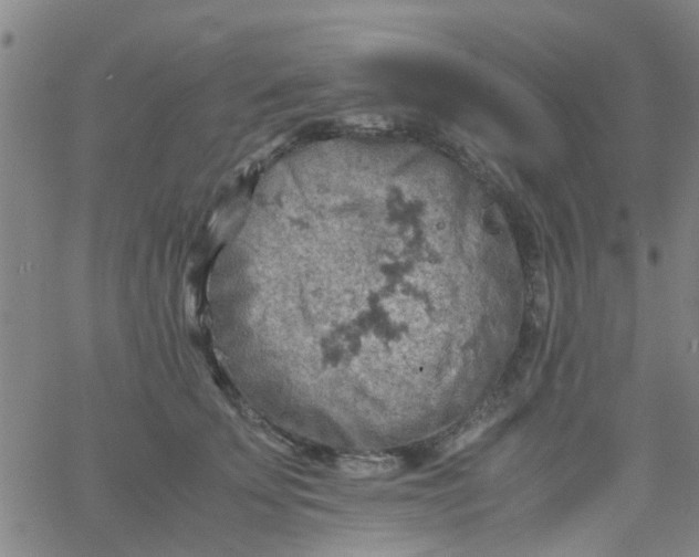 X0000061740707200512231500