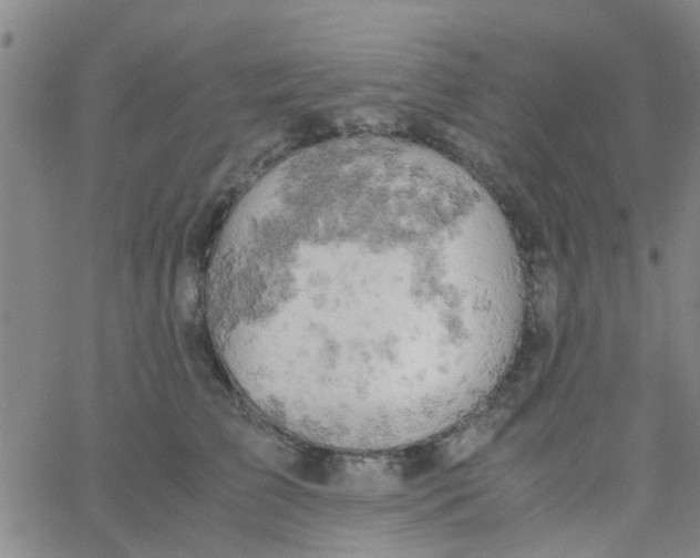 X0000061740709200512231500