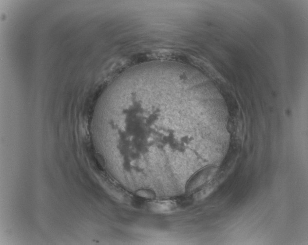 X0000061740711200512231500