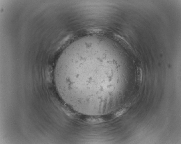 X0000061740712200512231500