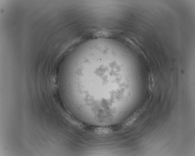 X0000061740714200512231500