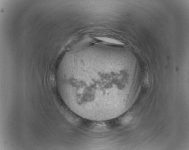 X0000061740715200512231500