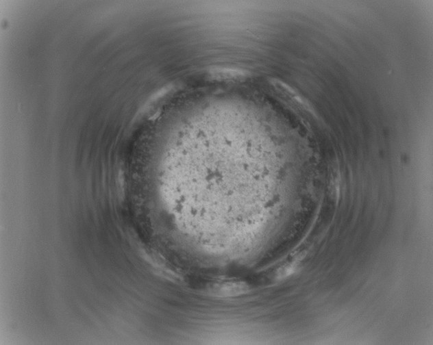 X0000061740716200512231500