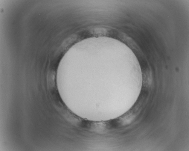 X0000061740717200512231500