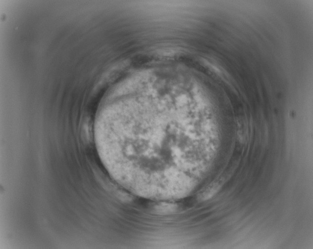 X0000061740718200512231500