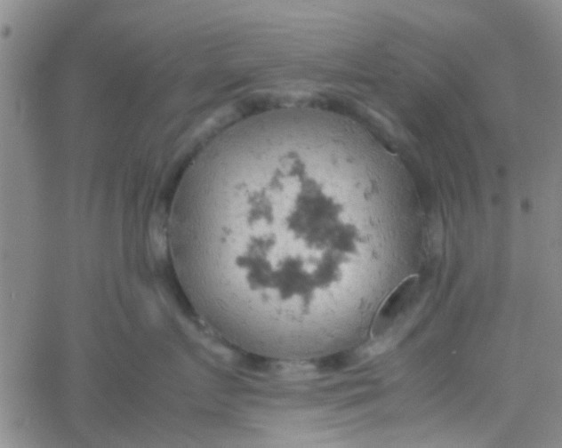 X0000061740719200512231500