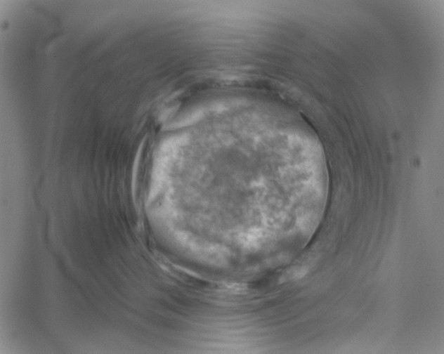 X0000061740720200512231500