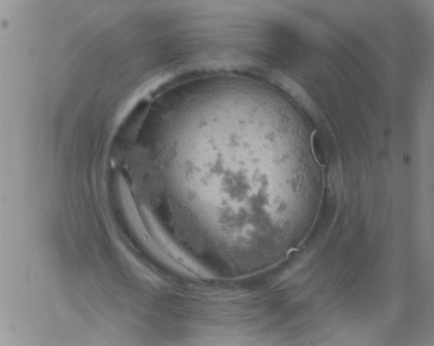 X0000061740722200512231459