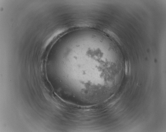 X0000061740723200512231459