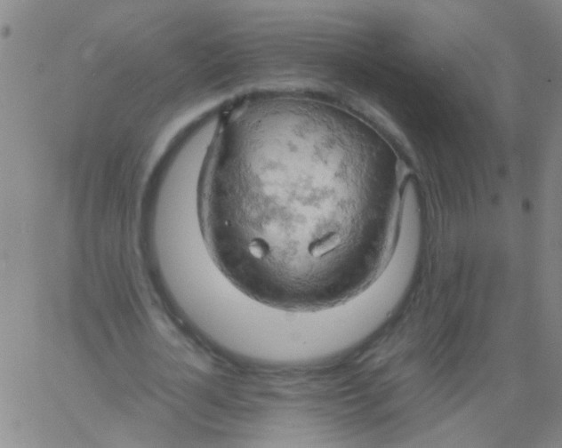 X0000061740724200512231459