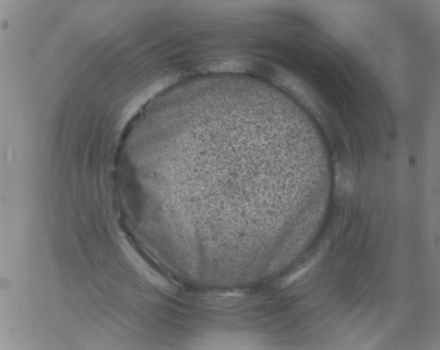 X0000061740725200512231459