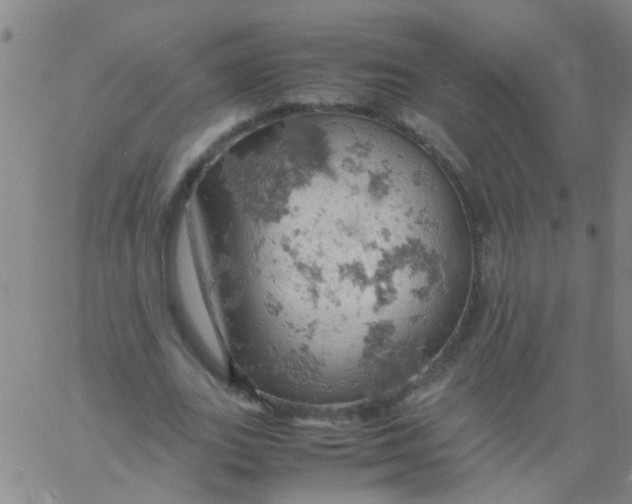 X0000061740727200512231459