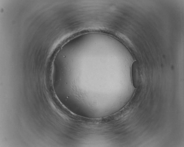 X0000061740728200512231459