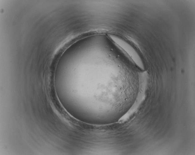 X0000061740730200512231459