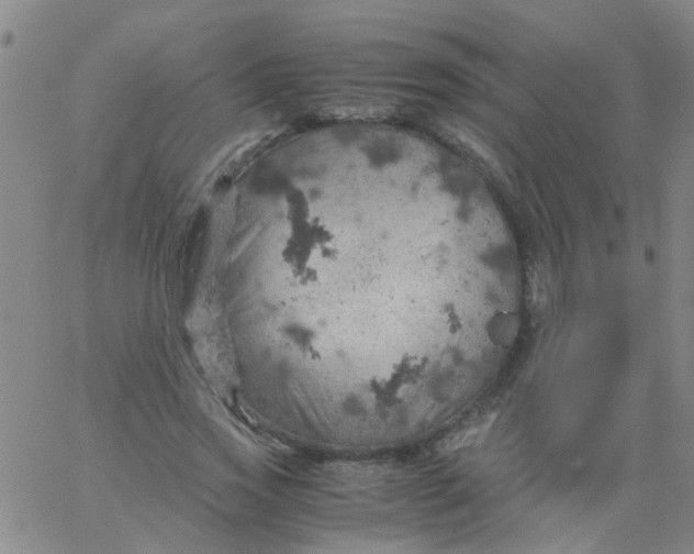 X0000061740733200512231459