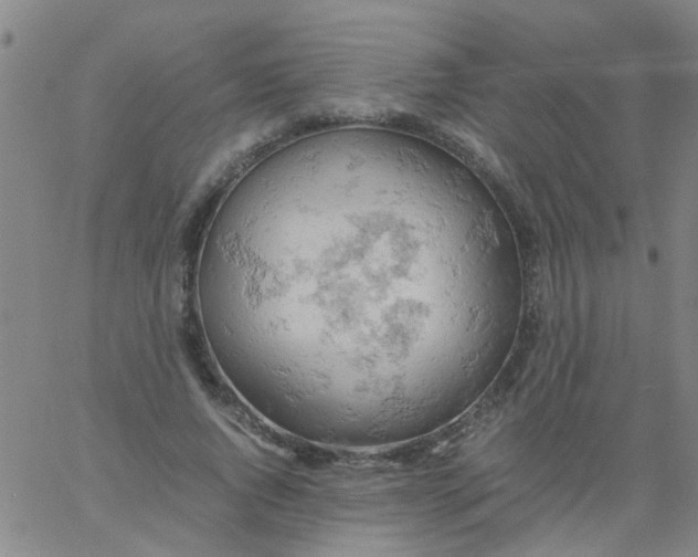 X0000061740736200512231459