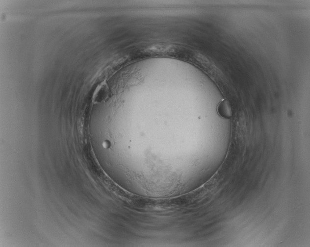 X0000061740739200512231459