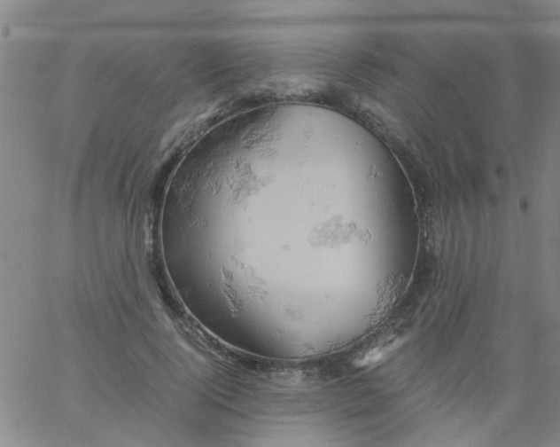 X0000061740740200512231459