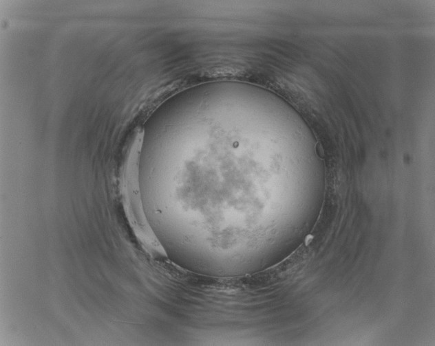 X0000061740743200512231459