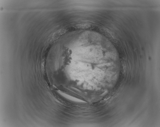 X0000061740745200512231459