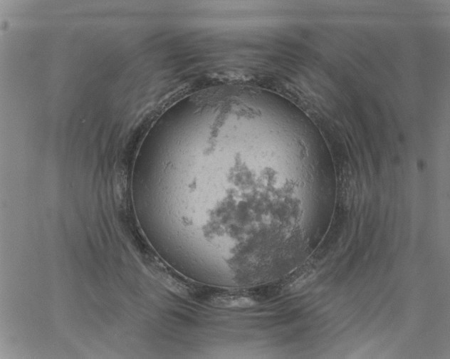 X0000061740747200512231459