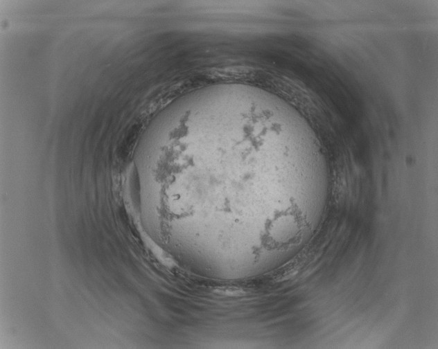 X0000061740749200512231459