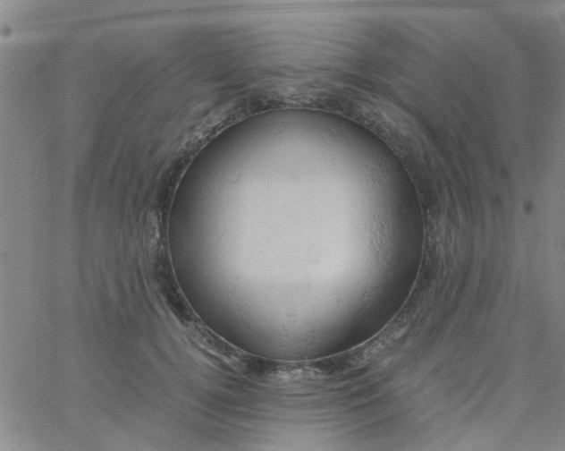 X0000061740752200512231500