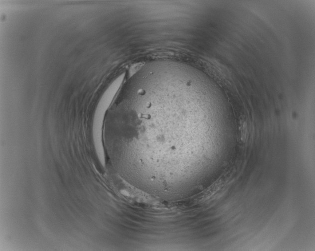 X0000061740753200512231500