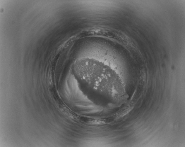 X0000061740754200512231500