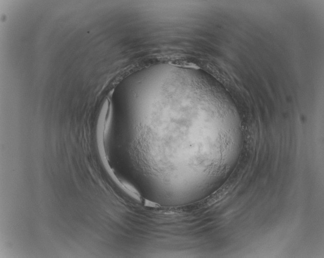 X0000061740755200512231500