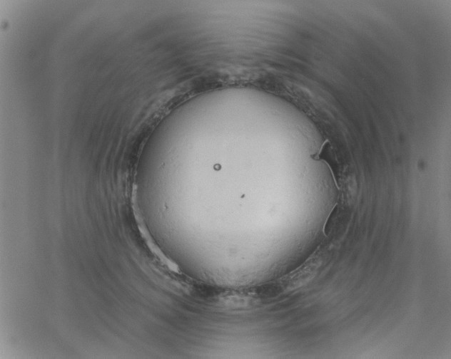 X0000061740756200512231500