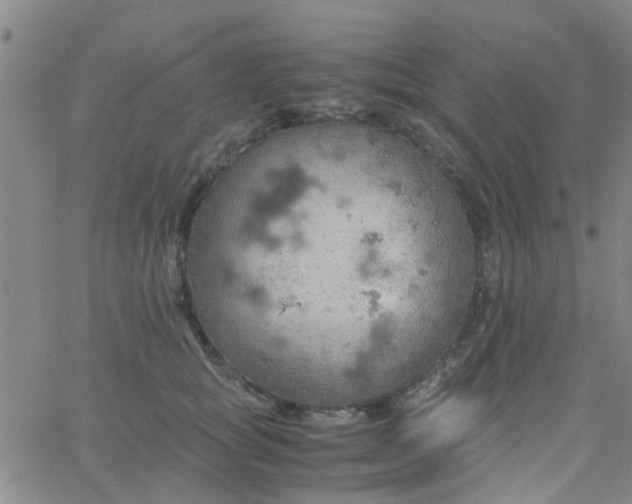 X0000061740757200512231500