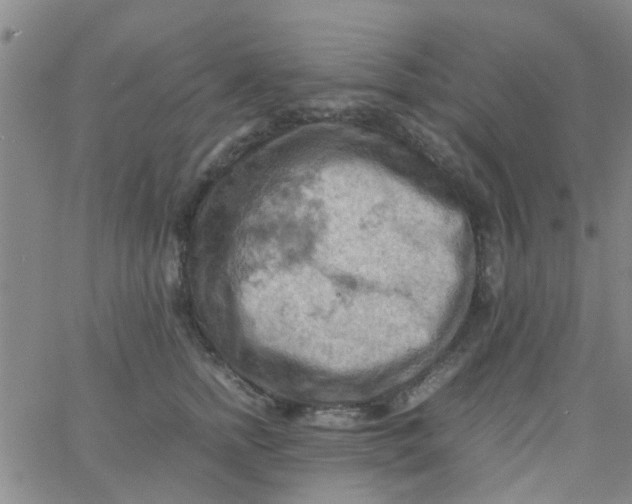 X0000061740758200512231500