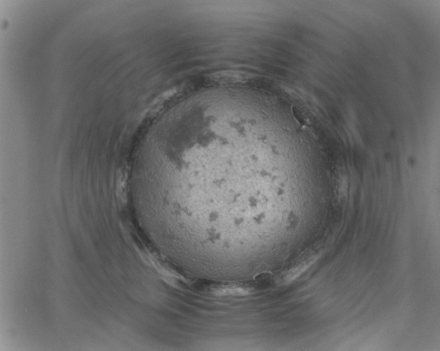 X0000061740759200512231500