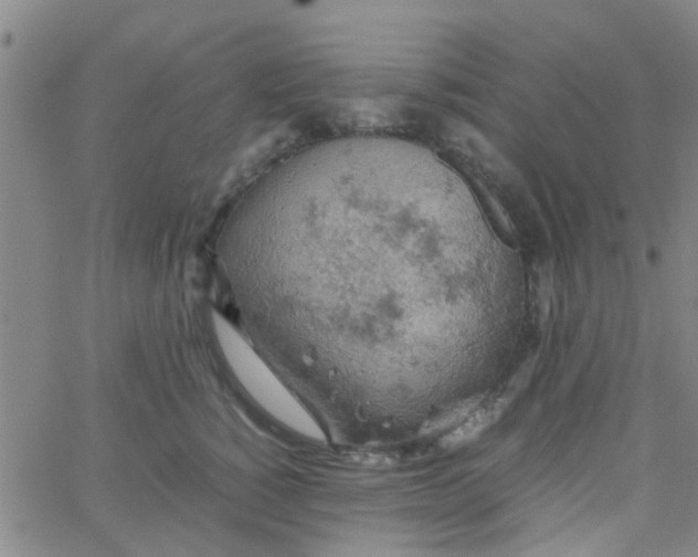 X0000061740760200512231500