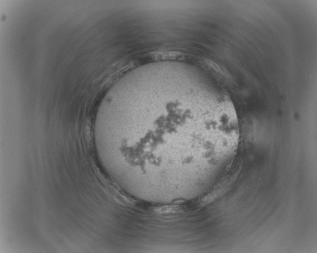 X0000061740761200512231500