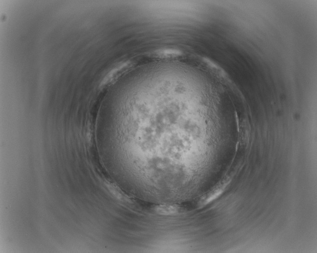 X0000061740762200512231500