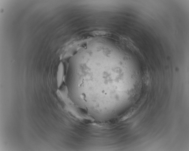 X0000061740763200512231500