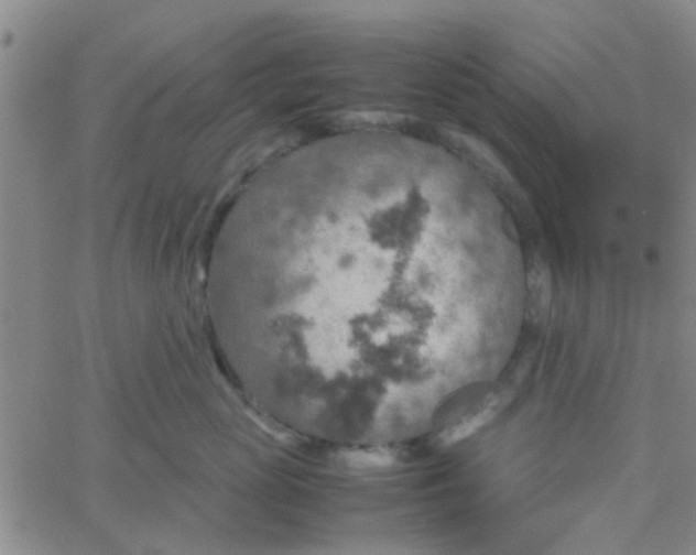 X0000061740765200512231500