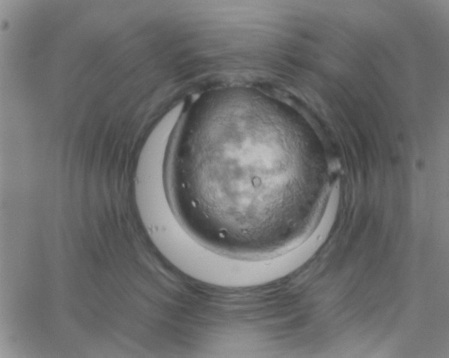 X0000061740766200512231500