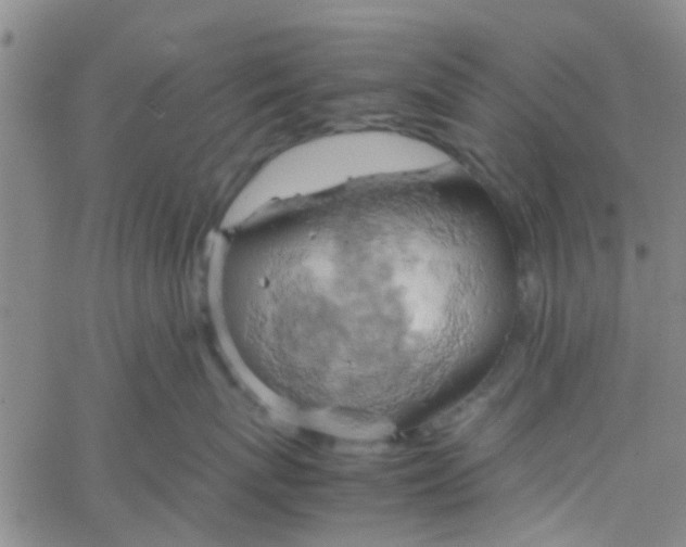 X0000061740767200512231500