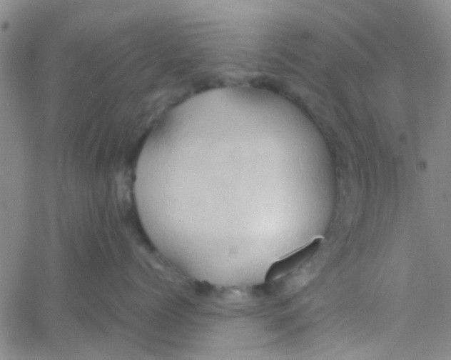 X0000061740768200512231500