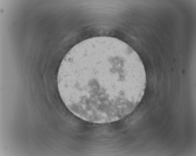 X0000061740769200512231459