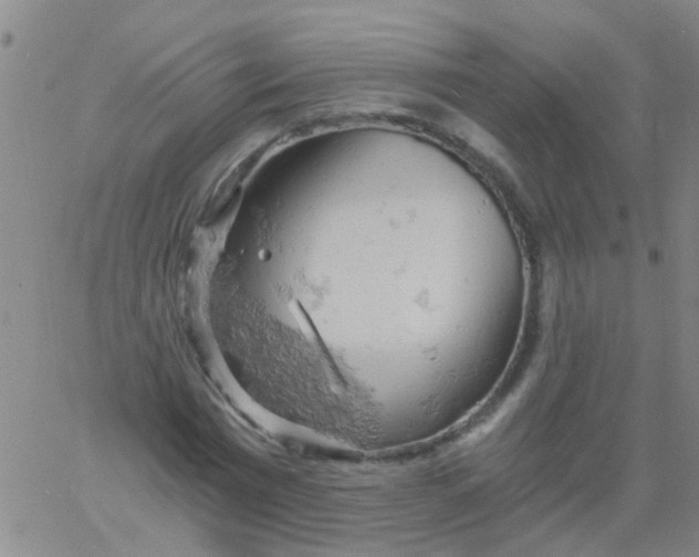 X0000061740777200512231459