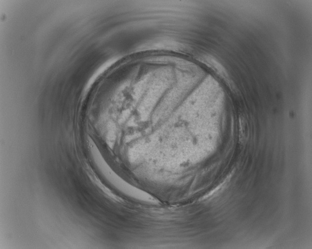 X0000061740780200512231459