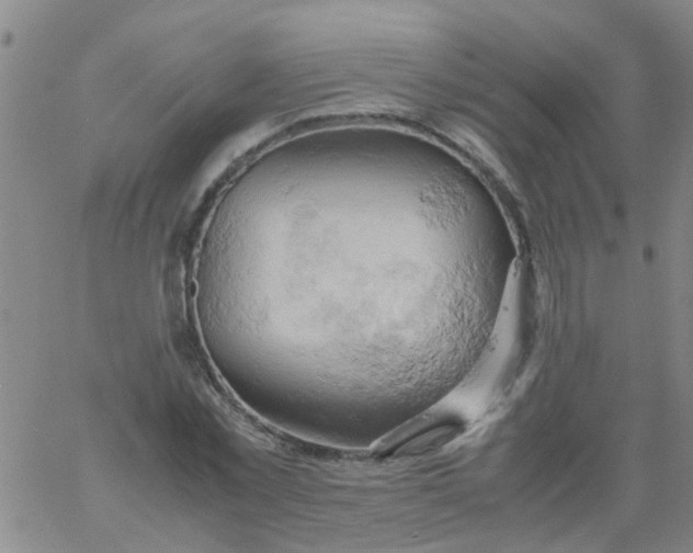 X0000061740781200512231459